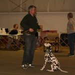 2016-03-Agility-Exploration-1