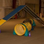 2016-03-Agility-Exploration-12