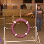 2016-03-Agility-Exploration-13