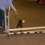 2016-03-Agility-Exploration-14