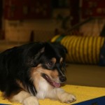 2016-03-Agility-Exploration-16