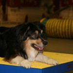 2016-03-Agility-Exploration-17