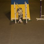 2016-03-Agility-Exploration-2