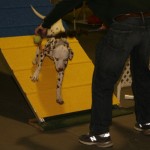 2016-03-Agility-Exploration-3