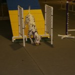 2016-03-Agility-Exploration-4