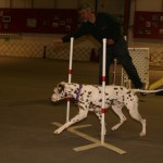 2016-03-Agility-Exploration-6