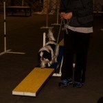 2016-03-Agility-Exploration-7