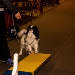 2016-03-Agility-Exploration-8