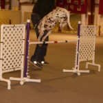 2016-03-Agility-Exploration-9